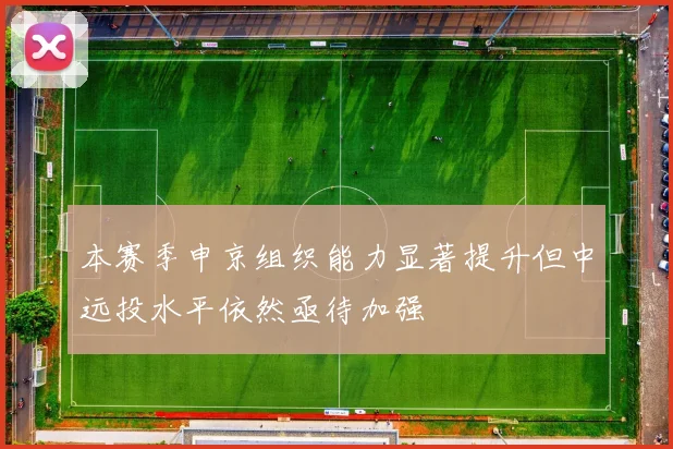 本赛季申京组织能力显著提升但中远投水平依然亟待加强