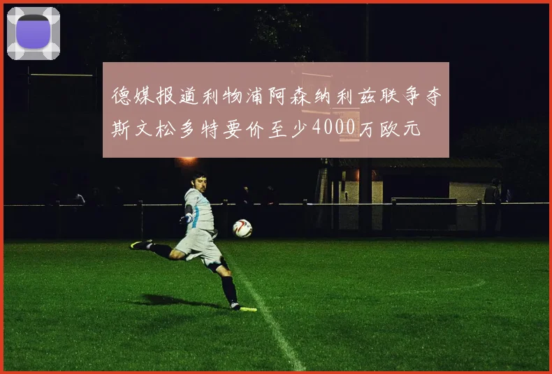德媒报道利物浦阿森纳利兹联争夺斯文松多特要价至少4000万欧元